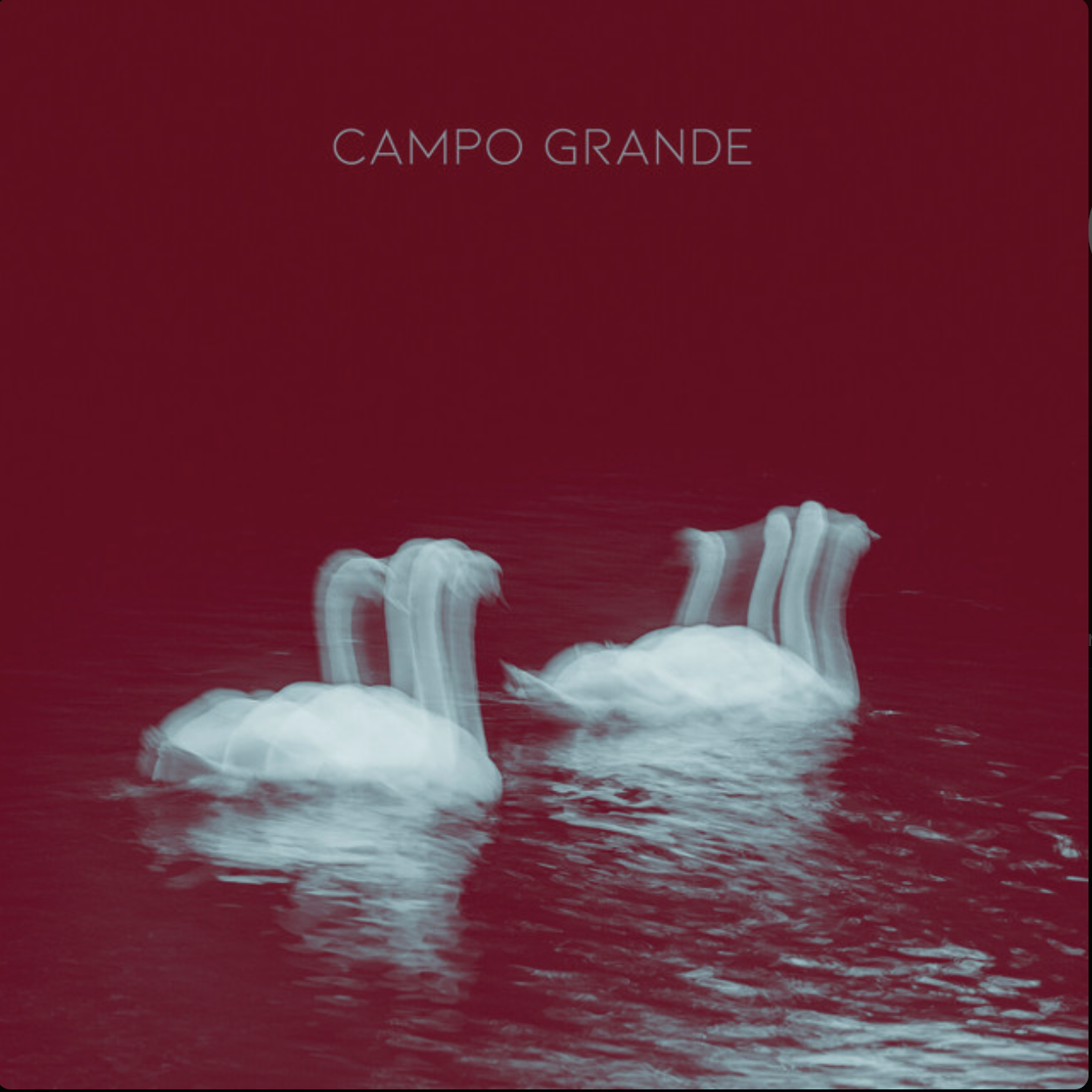 Campo Grande - Campo Grande